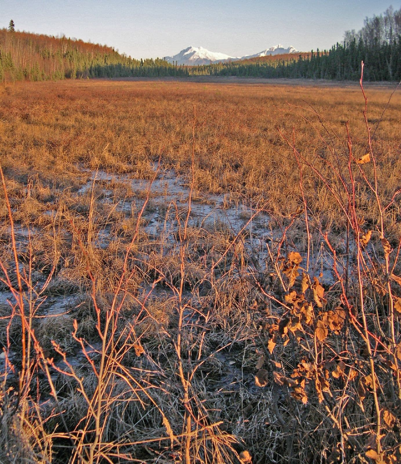 Vertical view of Pioneer Peak near Palmer, Alaska